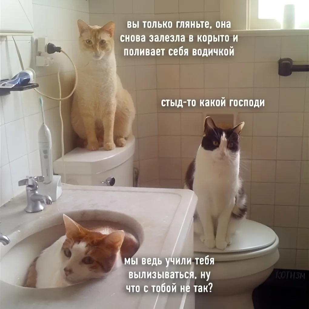 0% понимания, 100% осуждения

Комментарии: pikabu.ru/link/RBP2vwfyOW