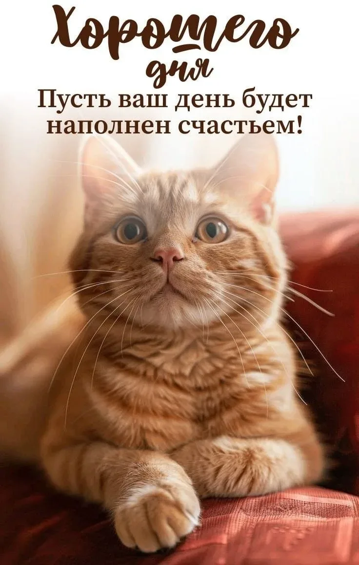 🥰 Ставьте реакции и делитесь открыткой с близкими ❤️