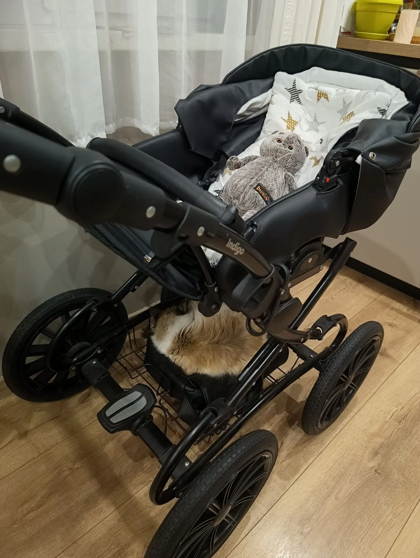Один котик в коляске, а другой под ней, и оба спят! ☺️