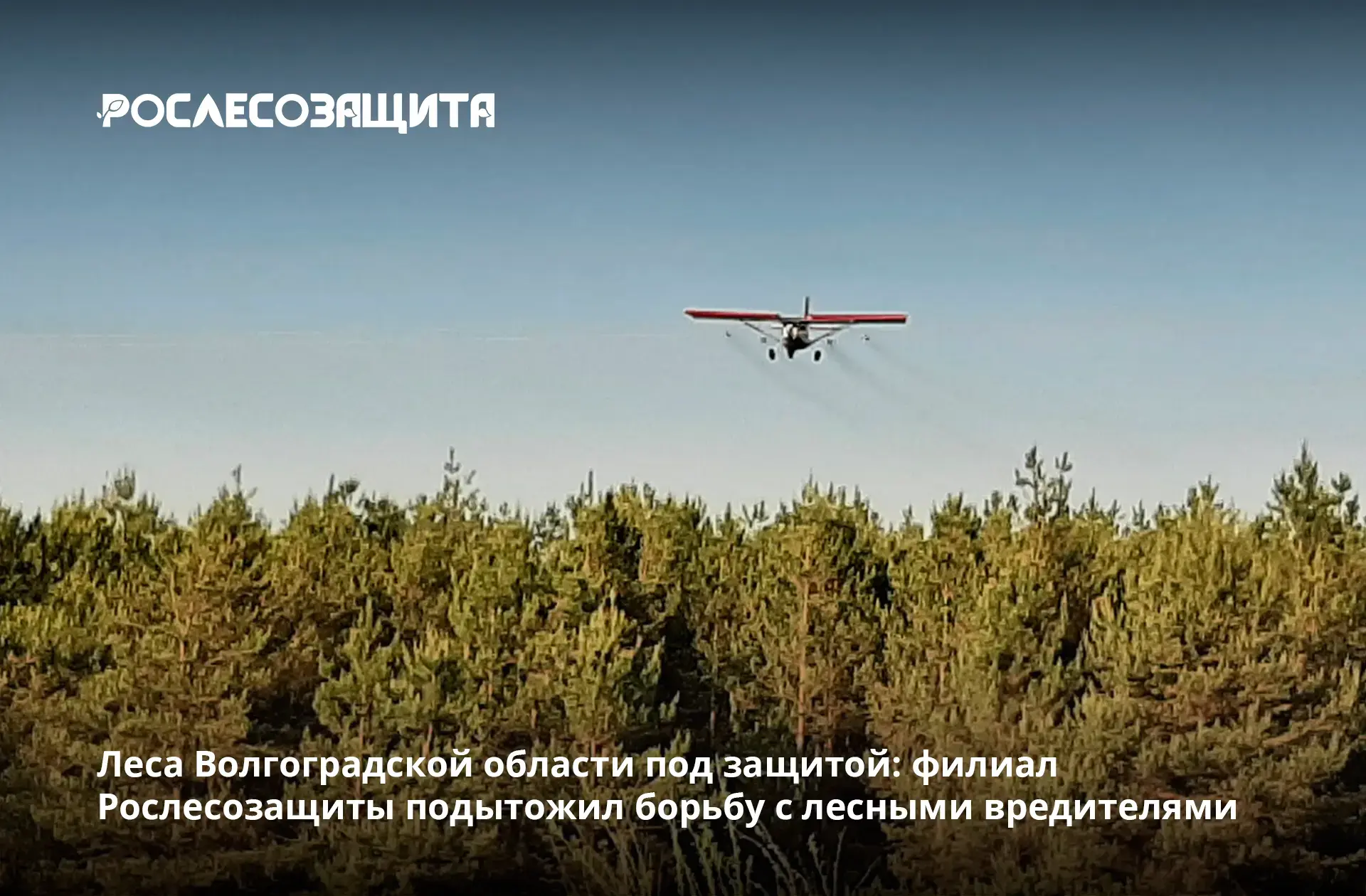 ✅ Меры борьбы применены обширных территориях 7-ми лесничеств: Арчединского, Иловлинског...
