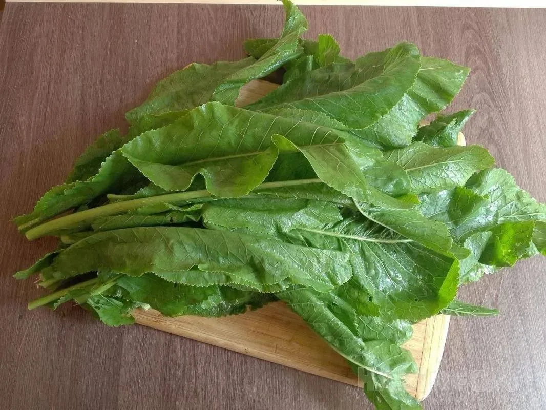 🌿 Листья хрена вытянут соль