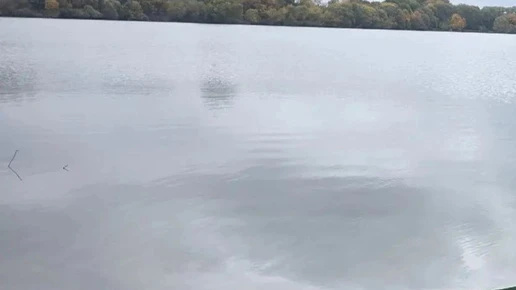 В Курской области из водоёма достали тело мужчины