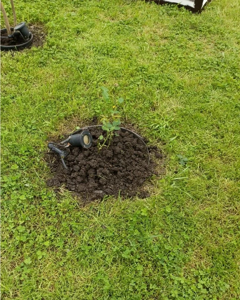🌱 ОЗЕЛЕНЕНИЕ