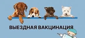📍Внимание подворовой обход с целью вакцинации против бешенства всех восприимчивых живо...