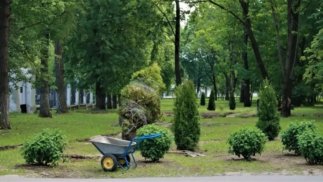 Высадка новых деревьев происходит в местах, где работает АО «ОКО» 🌳🌱🌟

Около года назад начались 