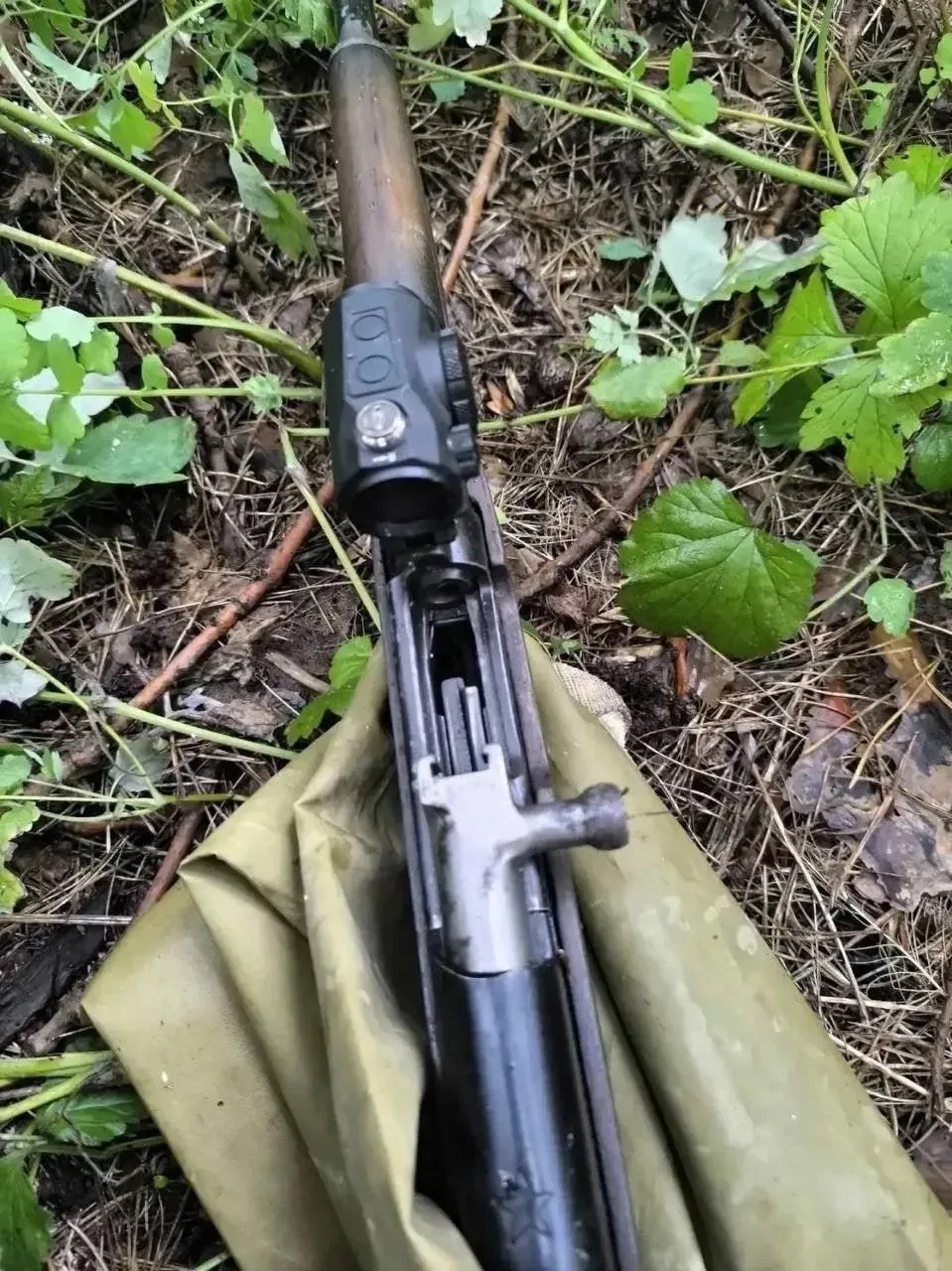 ⚡️ Обстрелявшего машину с детьми на ЛТЗ отправили под домашний арест — он сделал 23 выстрела

Октябр
