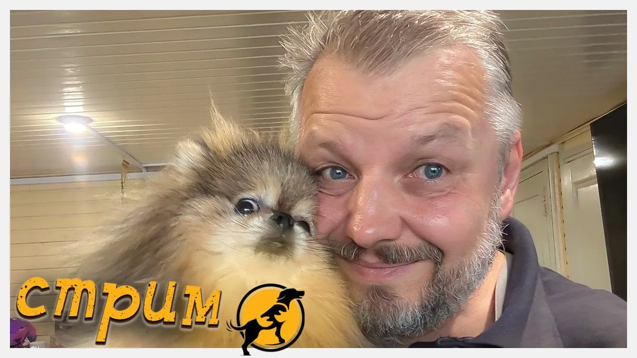 Смотрим стрим тут: