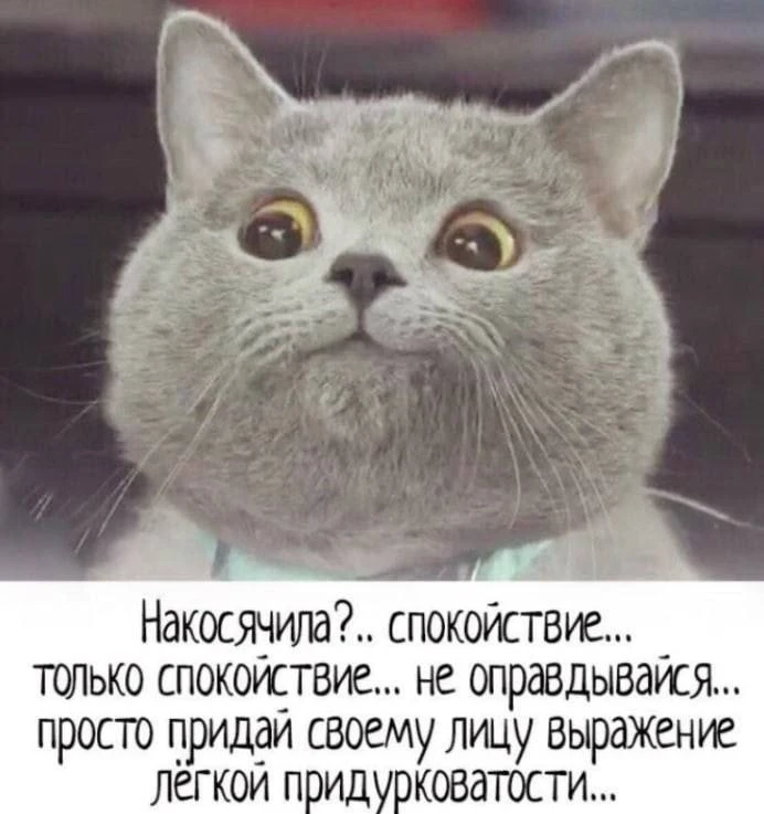 Ведьмин котелок 🧙 Подписаться