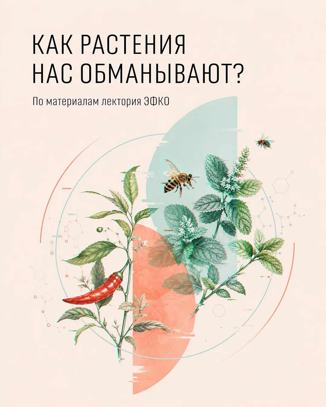 Помните ощущения, когда съедаете чили? Кажется, что рот горит. Но не спешите тушить пож...