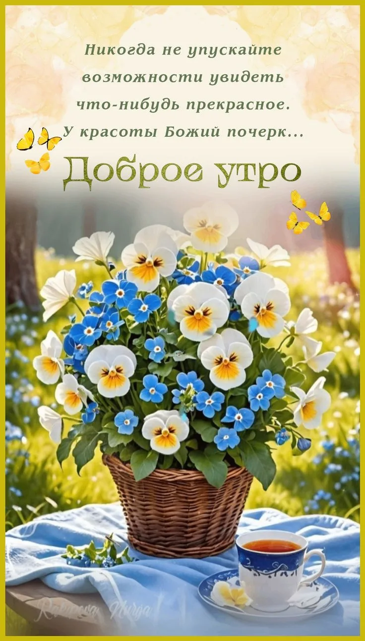 Открыточки 💖