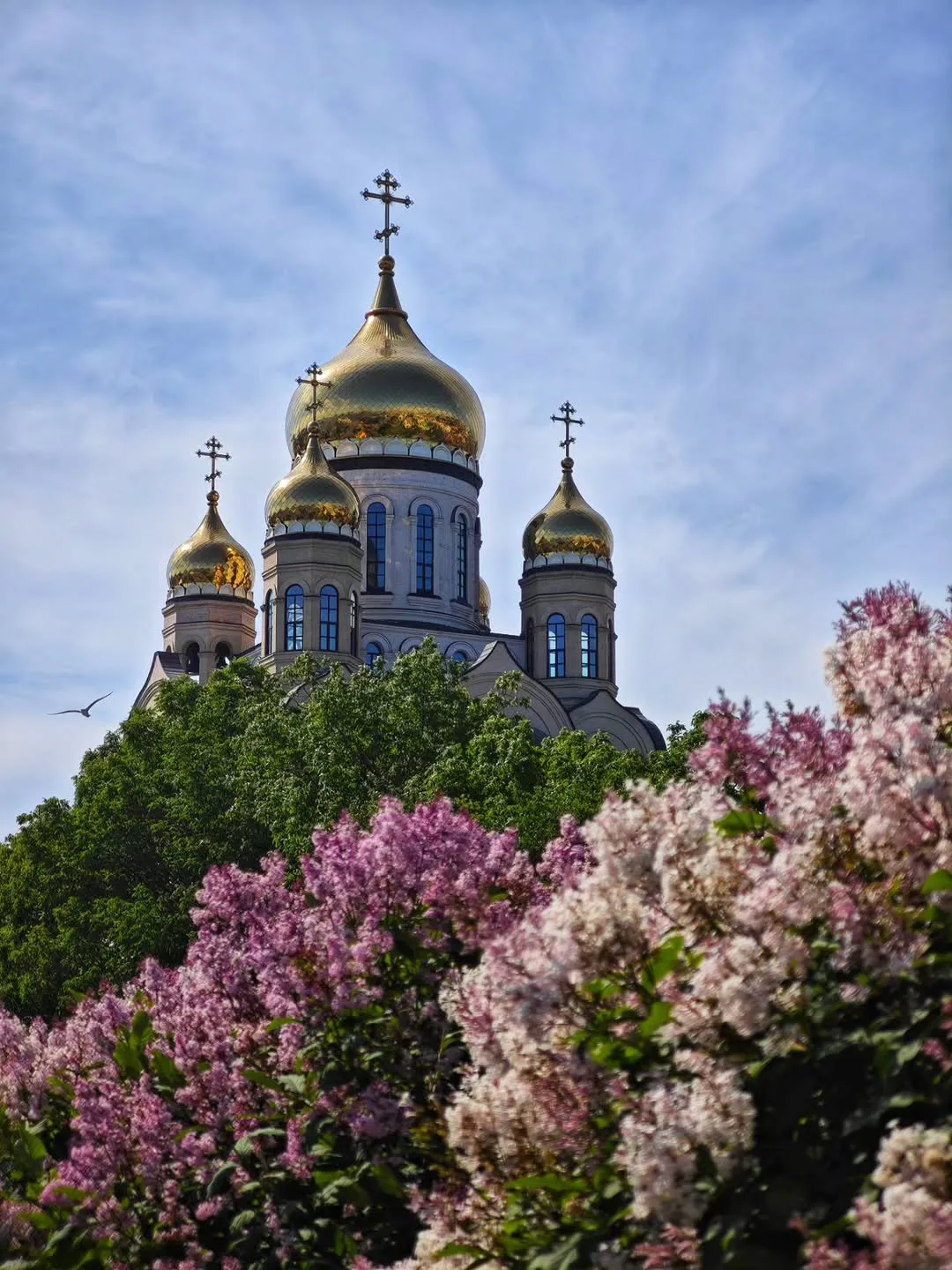 🌤️🌫️ Доброе утро, Владивосток! Сегодня, 14 июня, переменная облачность. Утром местами...