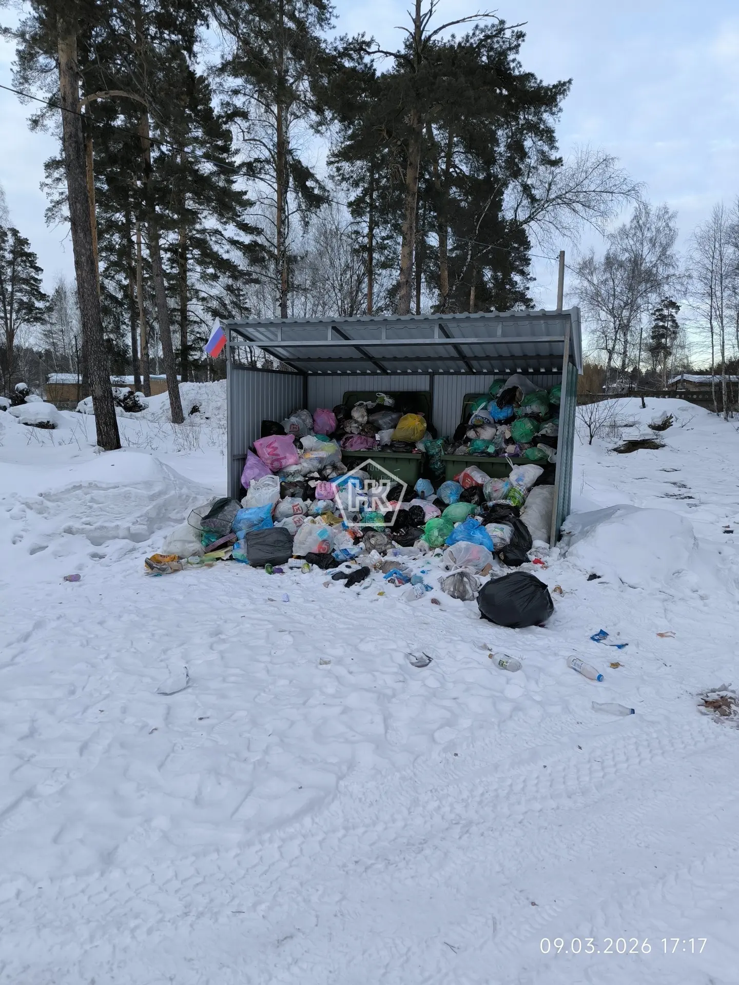 ⚡ Обращение пензенцев