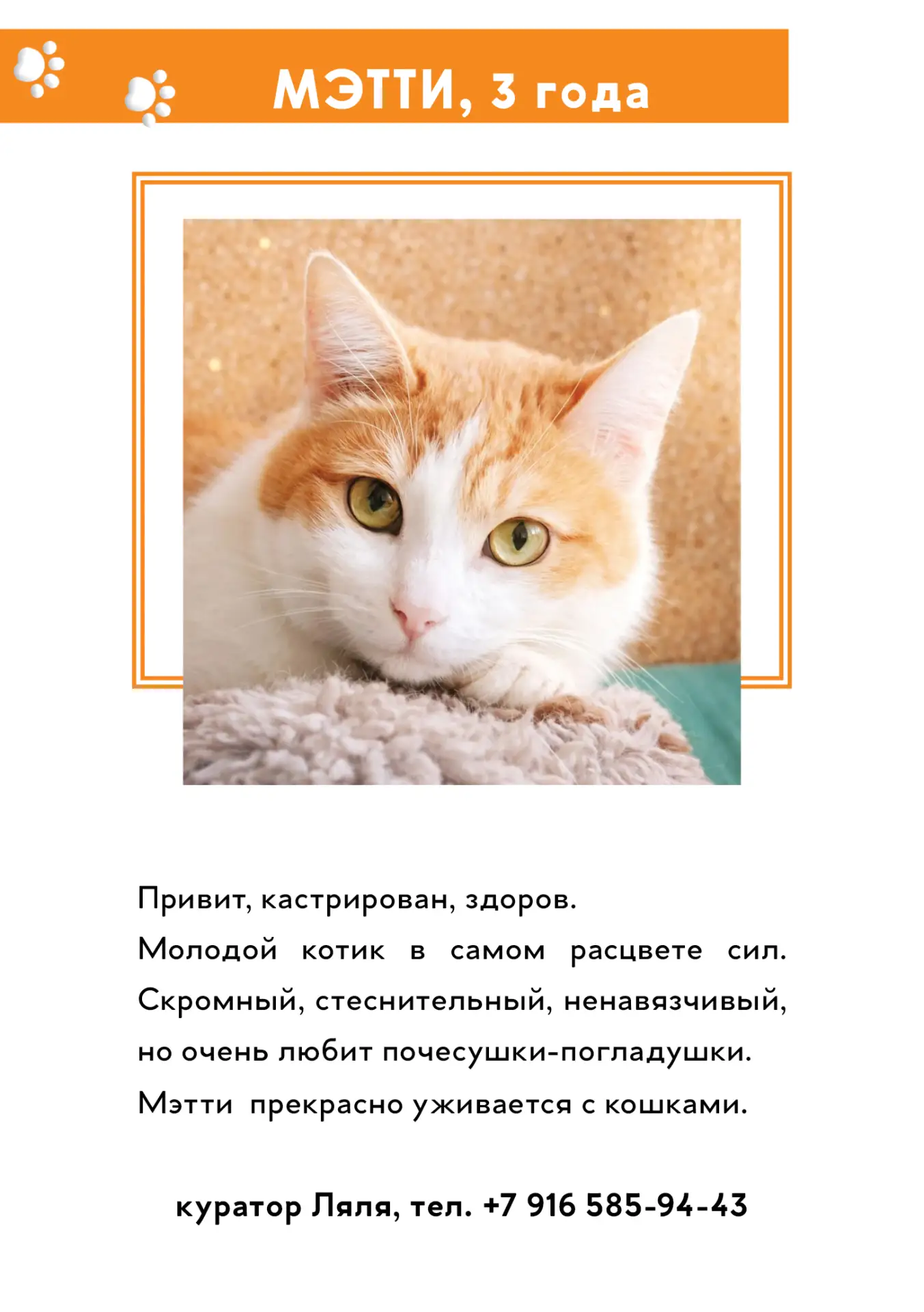 🐱 Фестиваль «Лефедун» уже в эту субботу 🐱