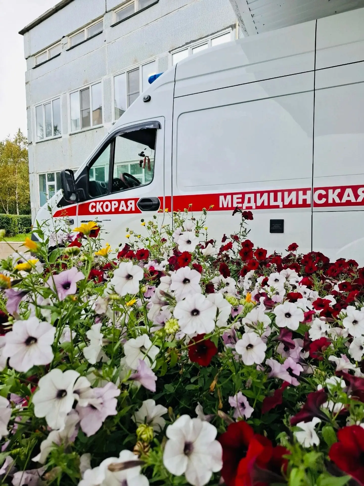 Еженедельная сводка с 17 августа по 24 августа 2026 г.