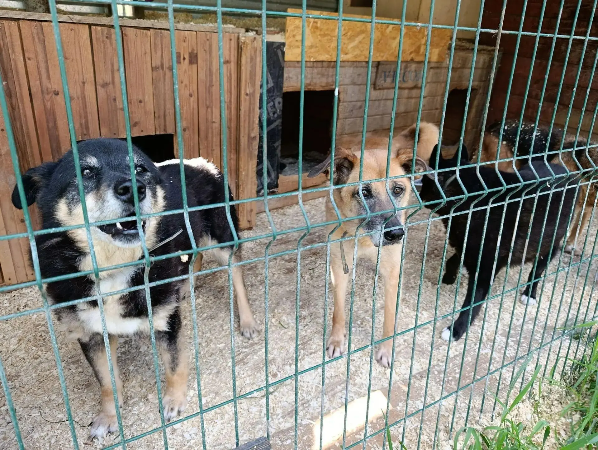 В ногинском Центре образования № 21 ученики 7 «В» класса провели традиционную акцию «Ла...