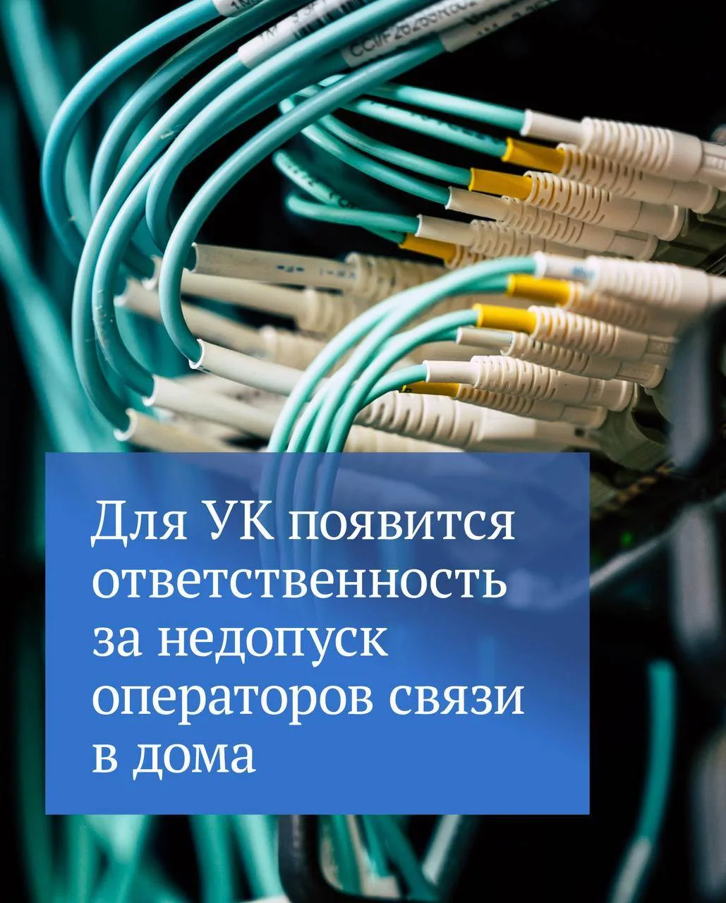 Важную инициативу приняли с коллегами в Государственной Думе: новый законопроект вводит администрати