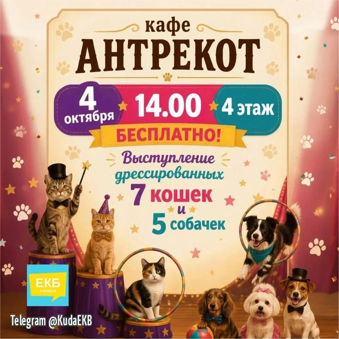 Бесплатное шоу дрессированных кошек и собак!