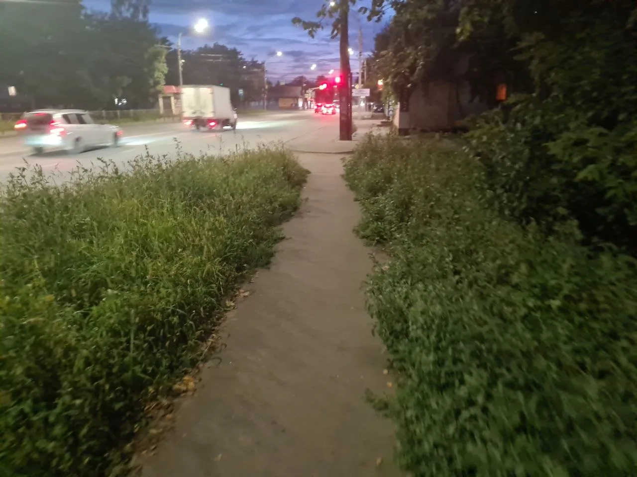 Городским службам тоже канистры бензином не наливают? Траву совсем не косят, пишут орло...