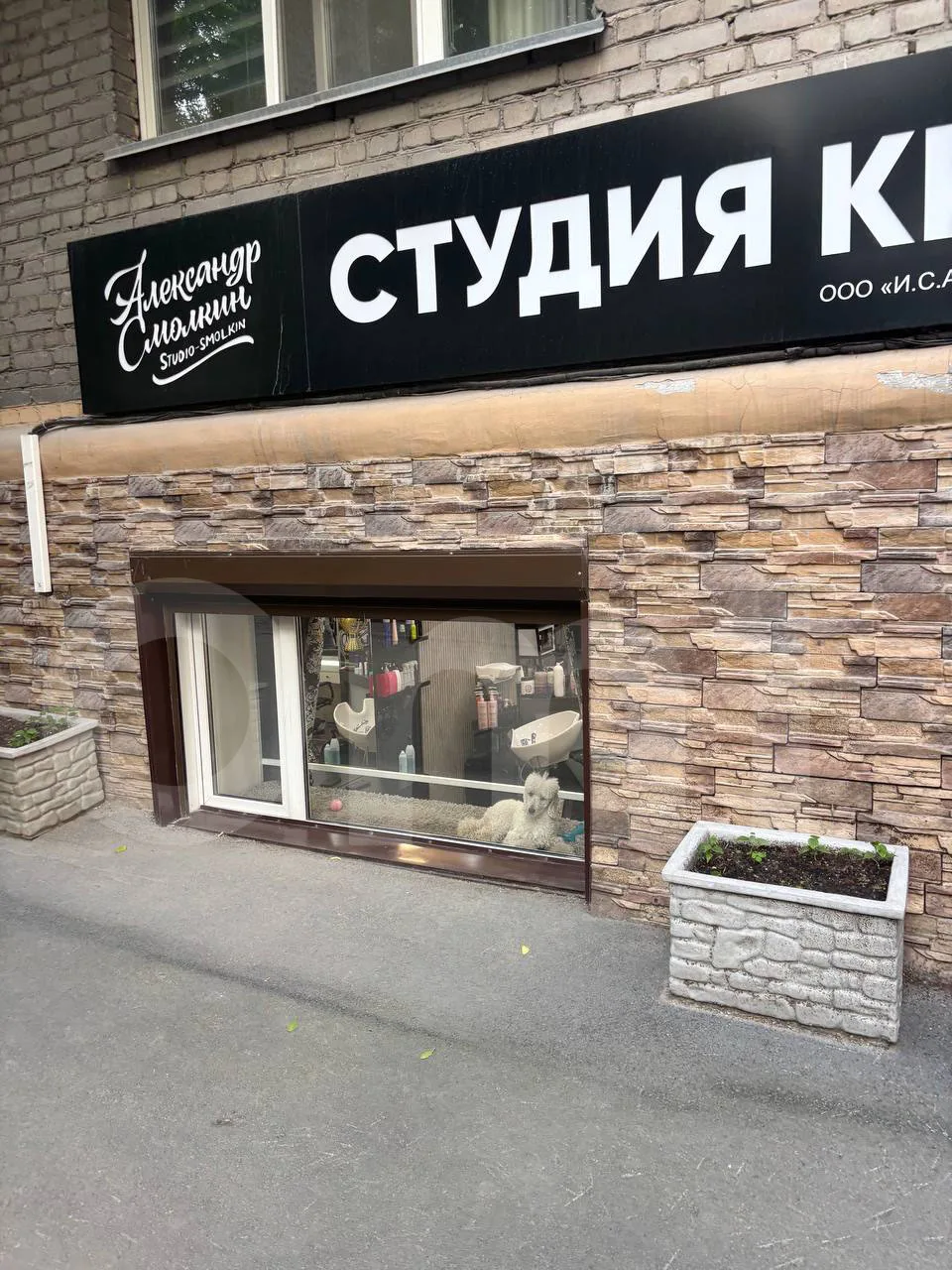 🐩 Наш корреспондент заметил пушистого сотрудника салона красоты