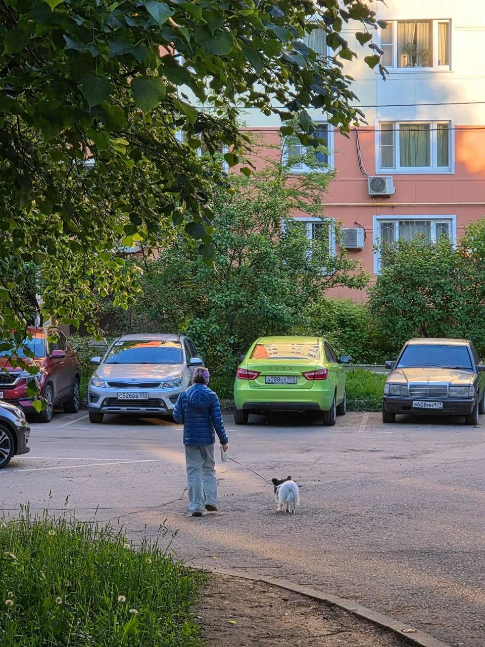 💬 От подписчика: