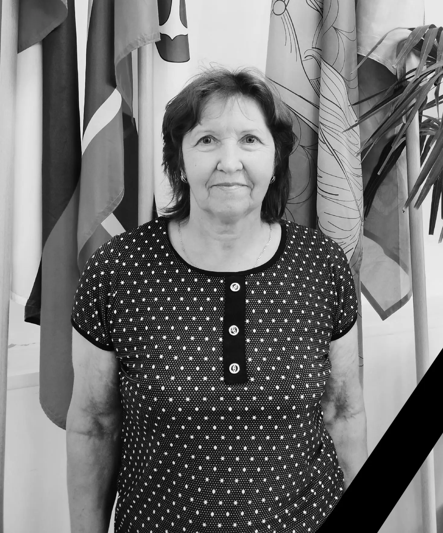 13 июня 2026 года ушла из жизни Феоктистова Светлана Владимировна, староста деревни Заборожка🕊
Свет