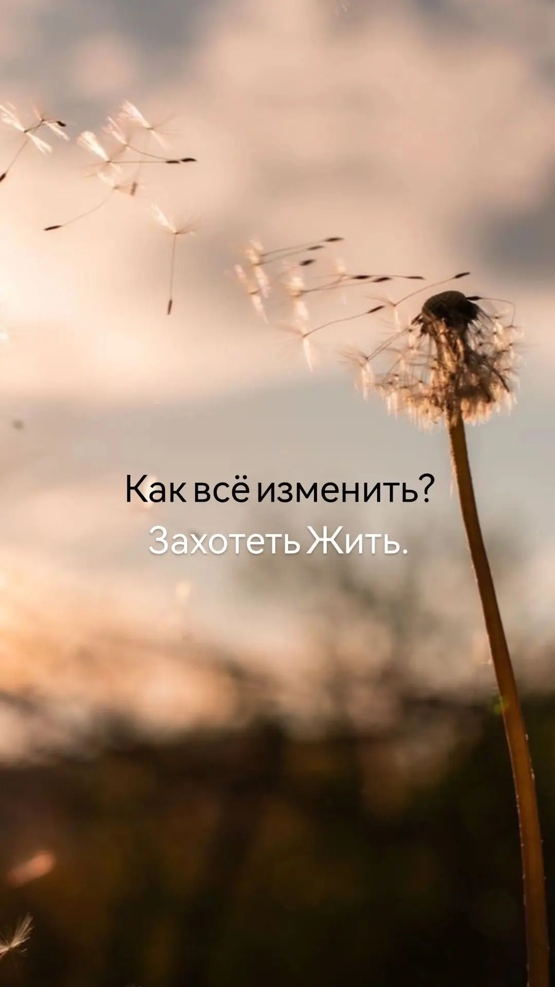 6 октября. 26 лунный день убывающей Луны.