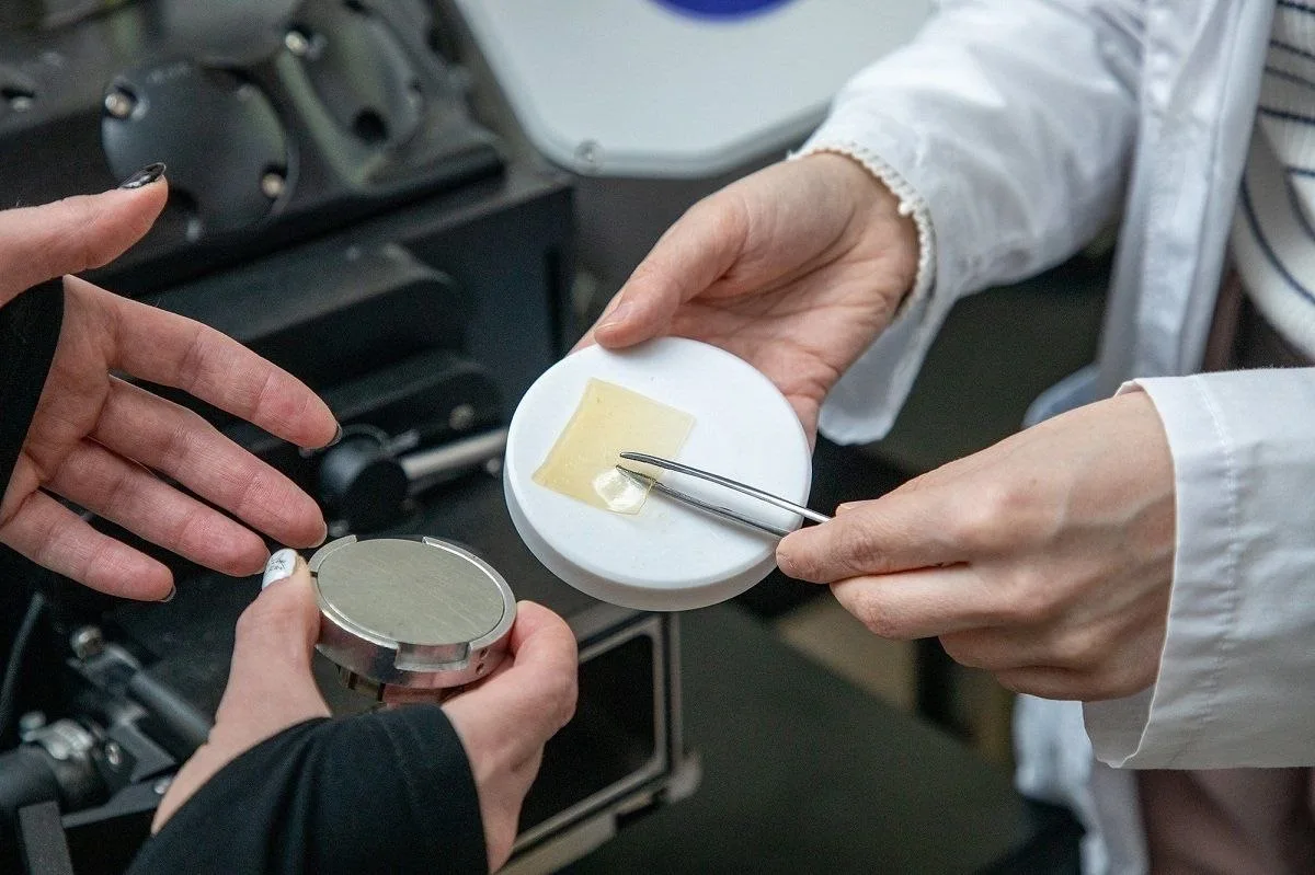 🧽 Нижегородские учёные разработали специальные губки, ускоряющие заживление ожогов

Губки сделаны и
