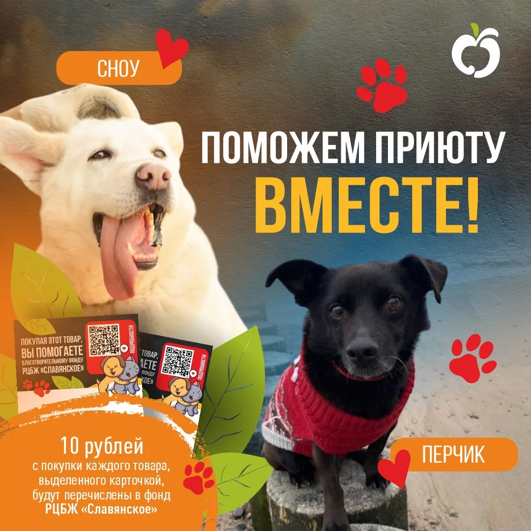 ✨🐾 Выбирайте товары, выделенные карточкой акции — 10 ₽ с каждой такой покупки мы переч...