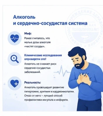 Алкоголь не чистит сосуды. Он их убивает.