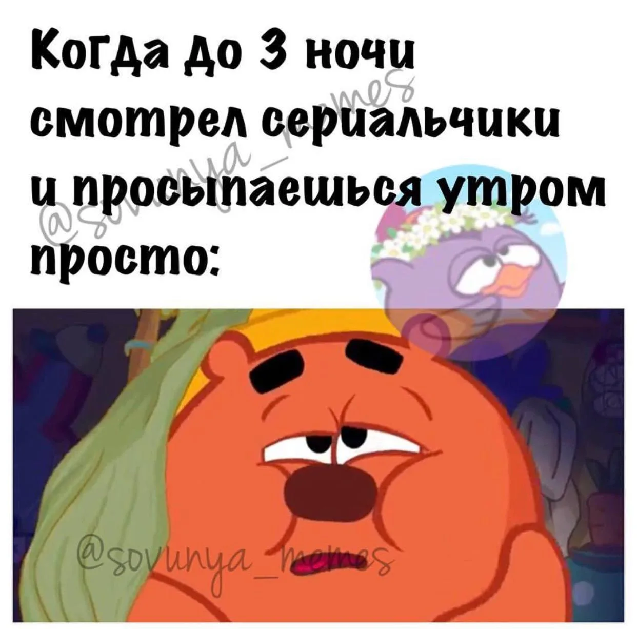 Это я сегодня