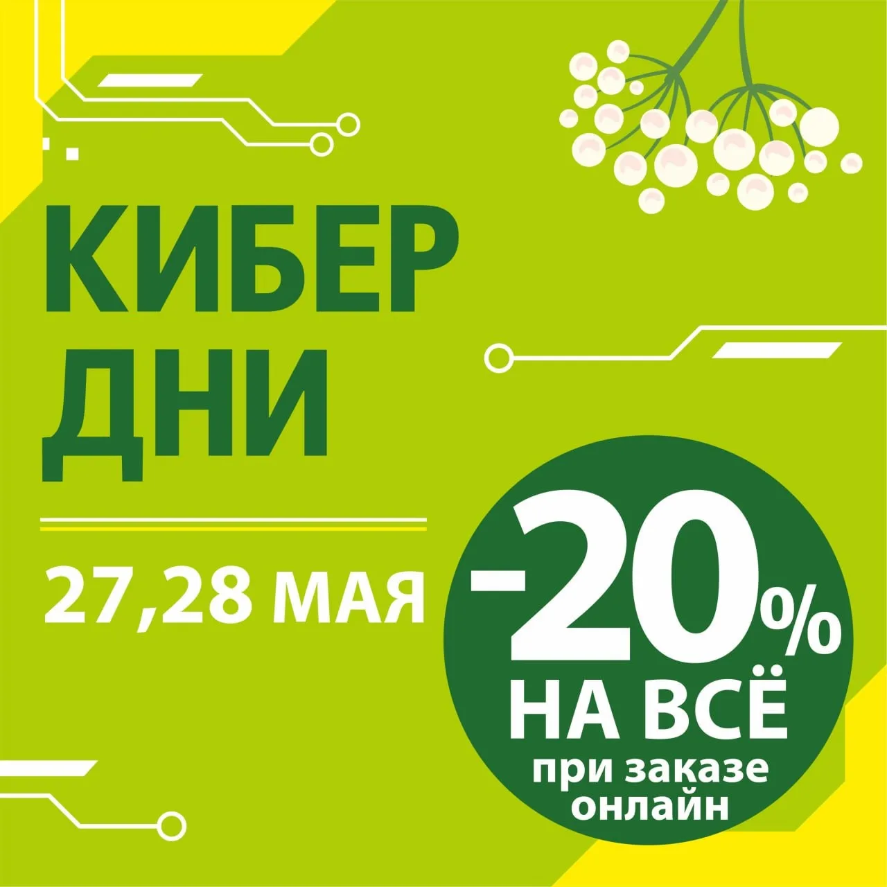 🌐 КИБЕР ДНИ в интернет-магазине ДомДоктор — скидка 20% на онлайн-заказы 🌐