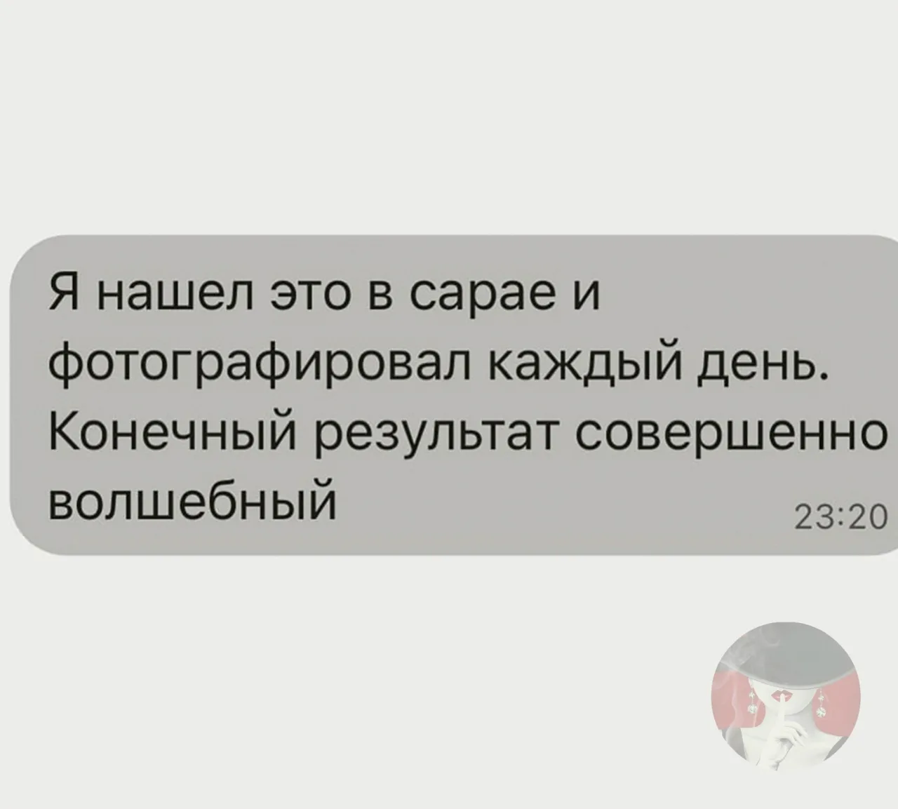 Нашёл в сарае странный кокон и решил фотографировать его каждый день. Всё шло как в док...