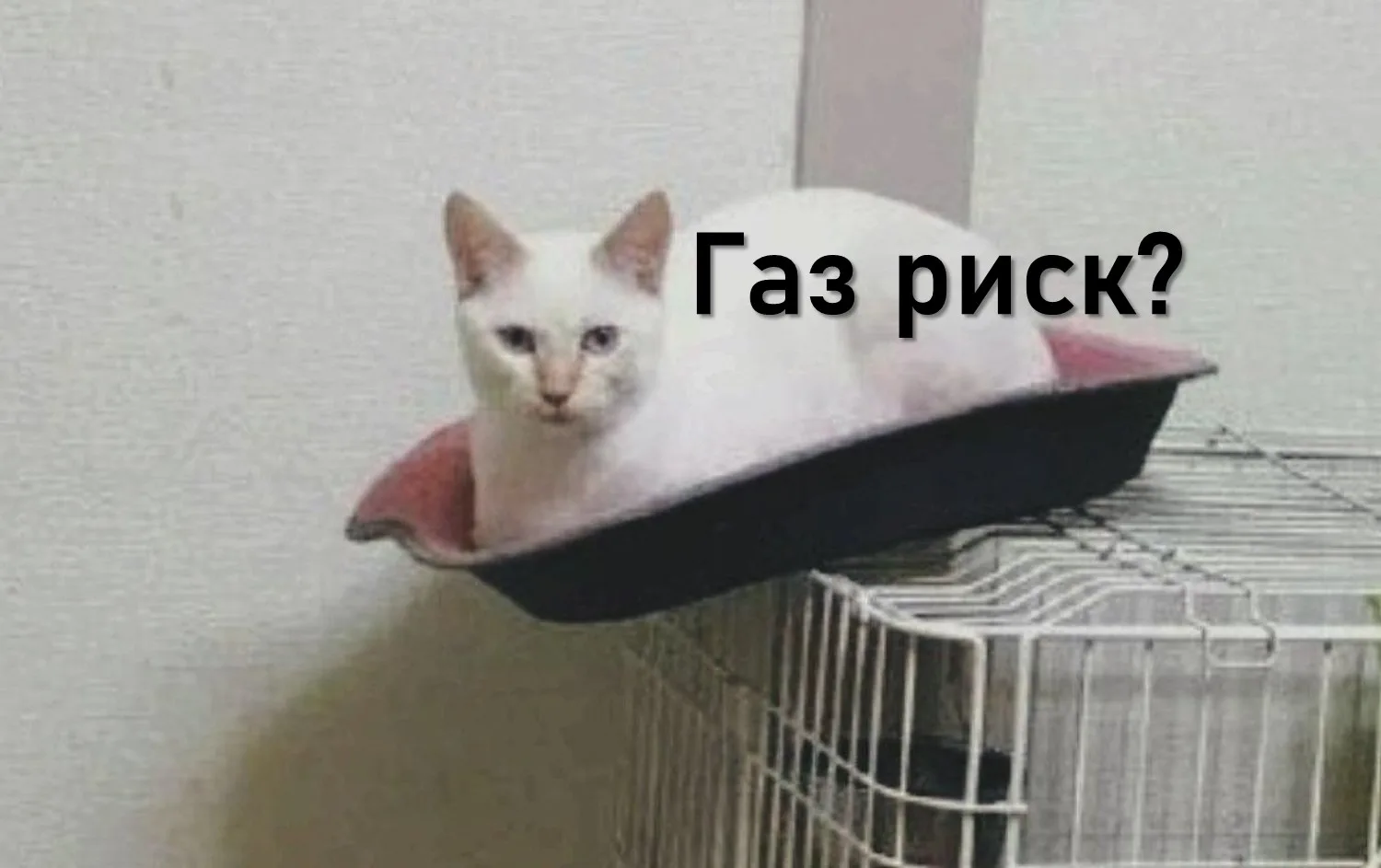 Риск проиграть всё захватывает дух?