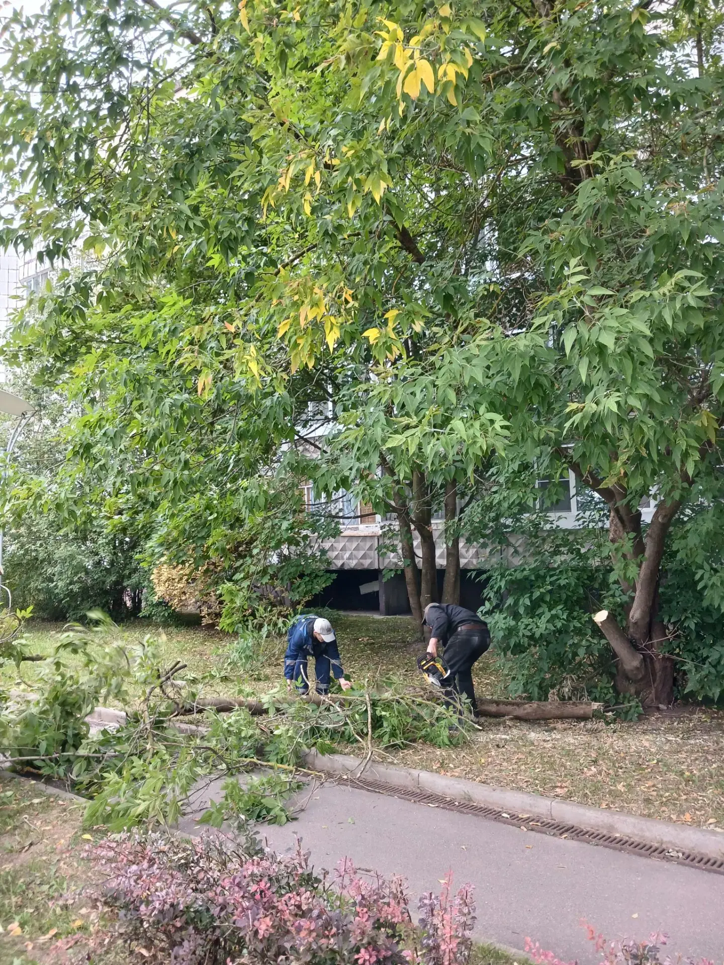 Работники ЖРЭУ №5 наводят порядок в 5 микрорайоне 🧹🌿🌱