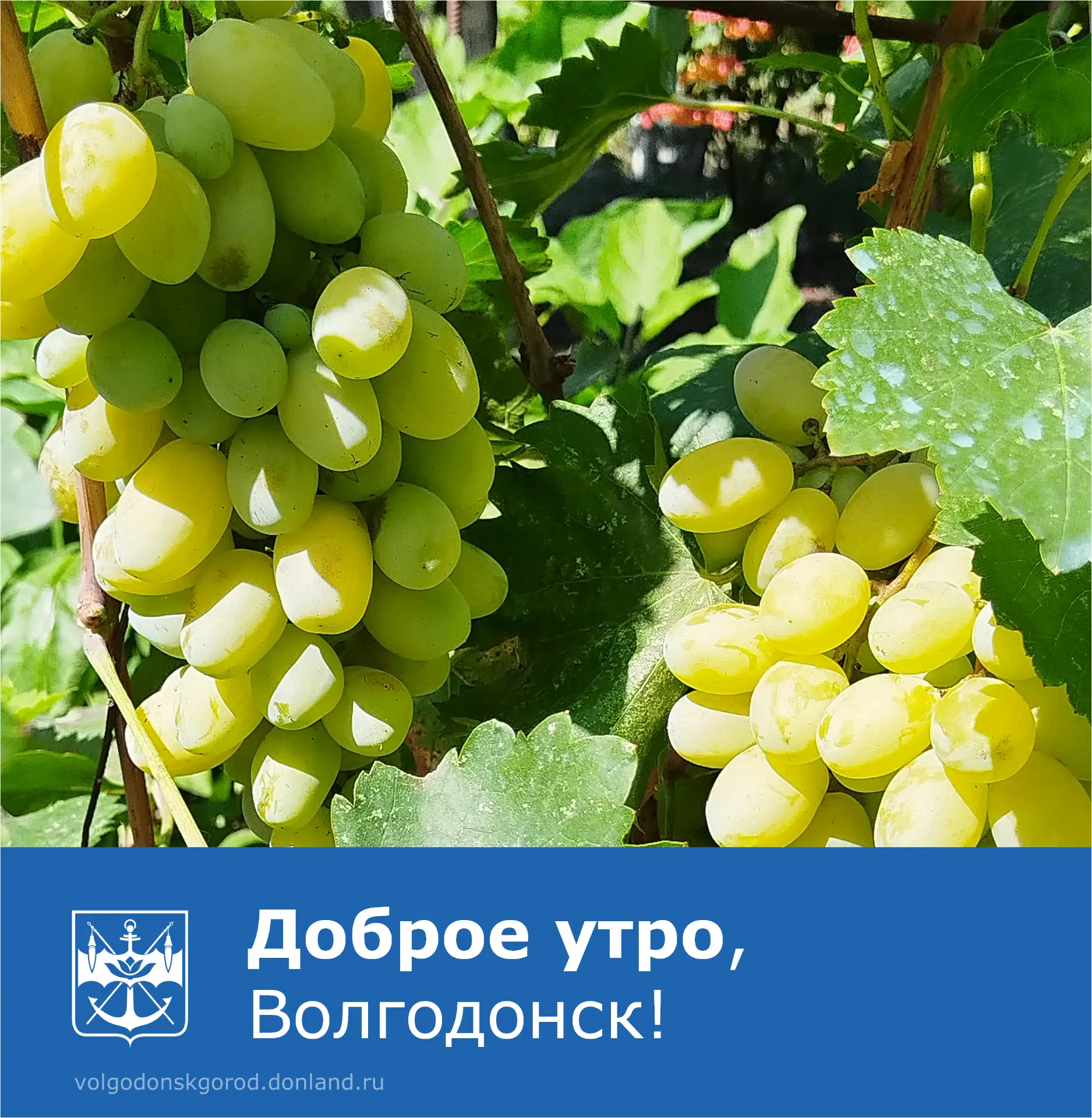 ☀ С добрым утром!