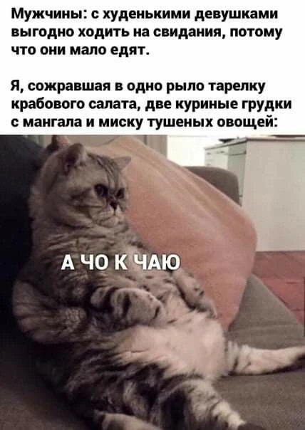 🦊 Весёлые Картинки  !