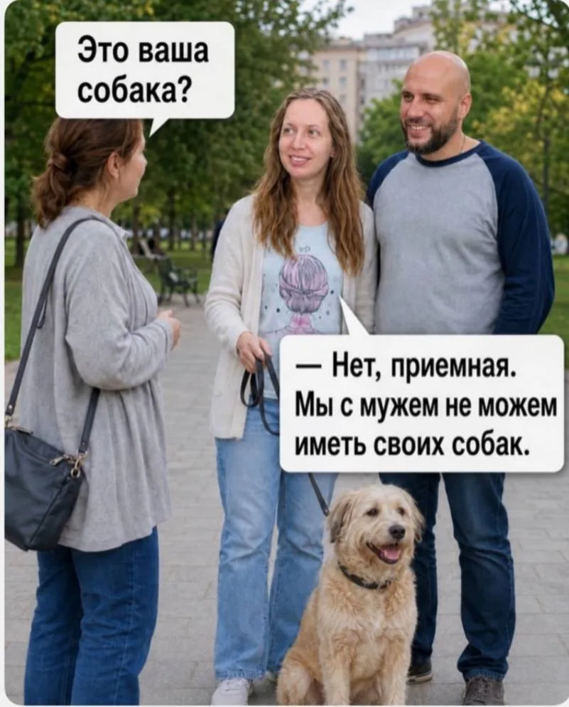 Настроение дня: логика-наше ФСЁ