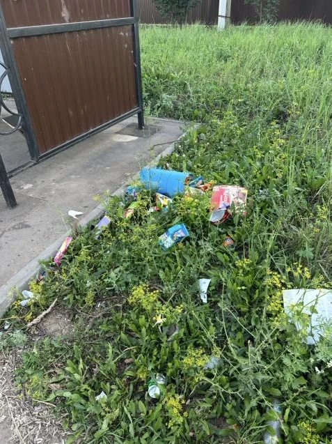 - Хлыстово. Урна для мусора, установленная на остановке общественного транспорта по ул.Пригородная, 