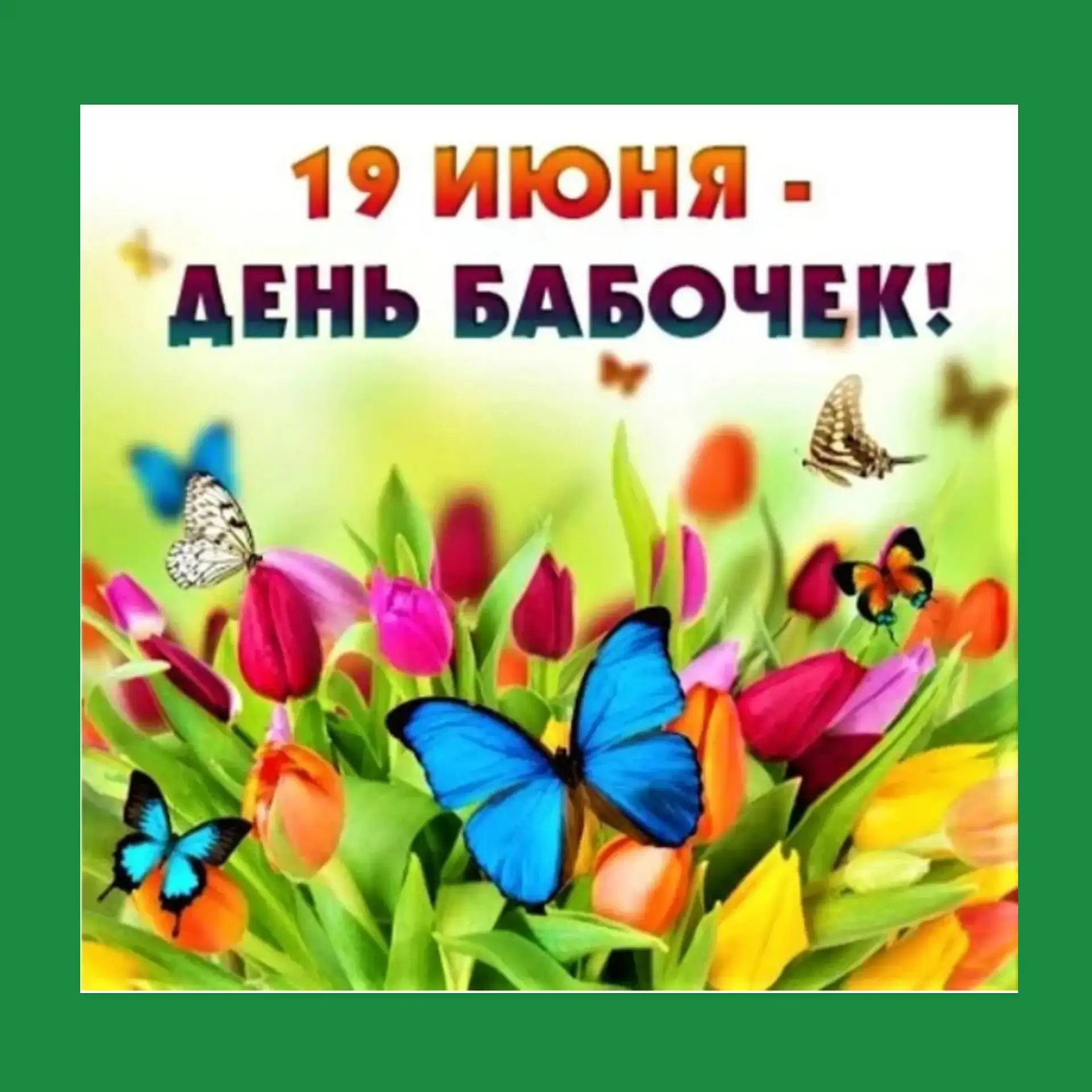 🦋 День бабочек — рисуем на улице! ☀️
Сегодня, 19 июня, в группе «Сказка» был особенный день - Между