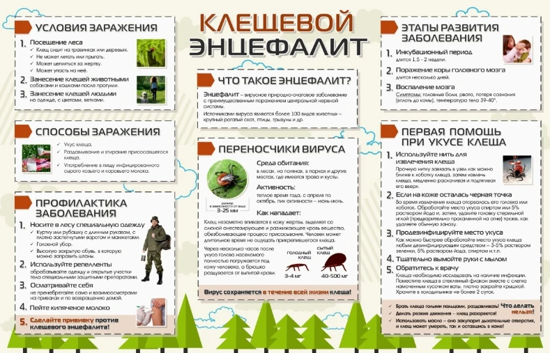 Осторожно, клещи! Памятка для прогулок