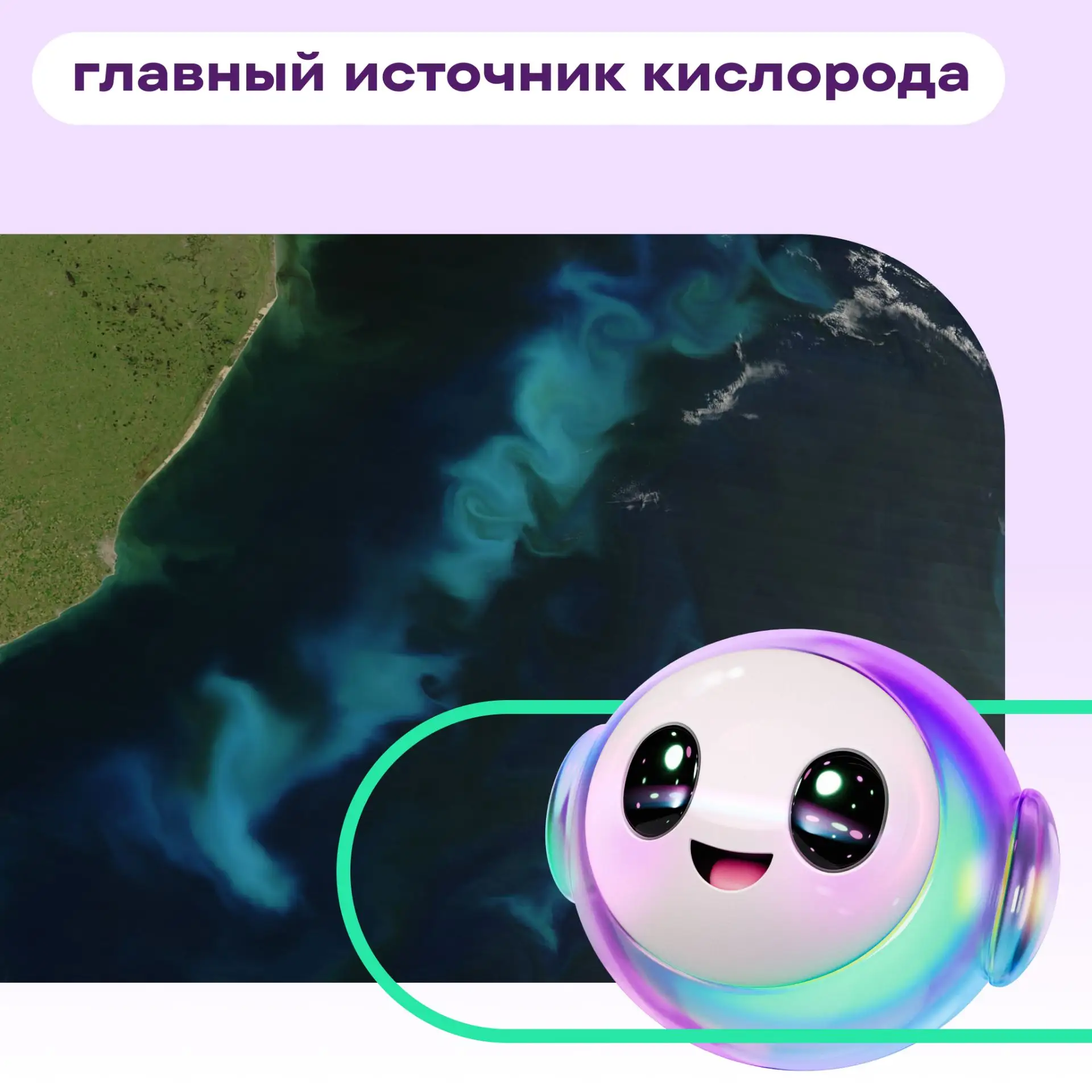 Зеленая пленка на пруду, мутные разводы в озере, вода цвета болотной тины — летом водоемы будто забо