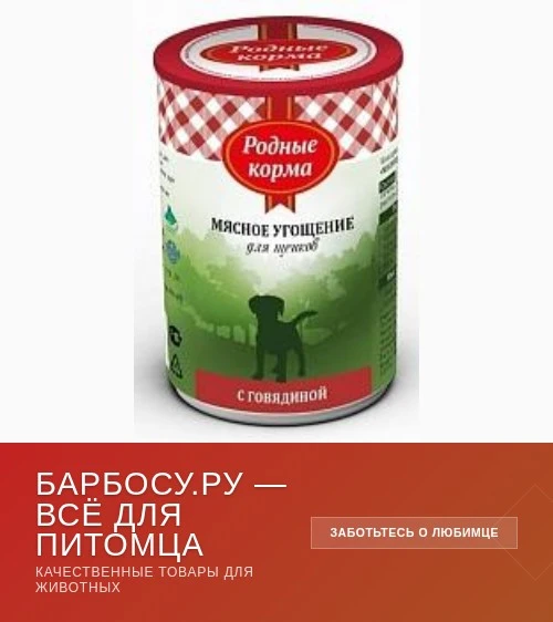 🐕 Забота о четвероногих друзьях 🐶😼

Привет, друзья! Знаете, как важно радовать своих пушистых люб