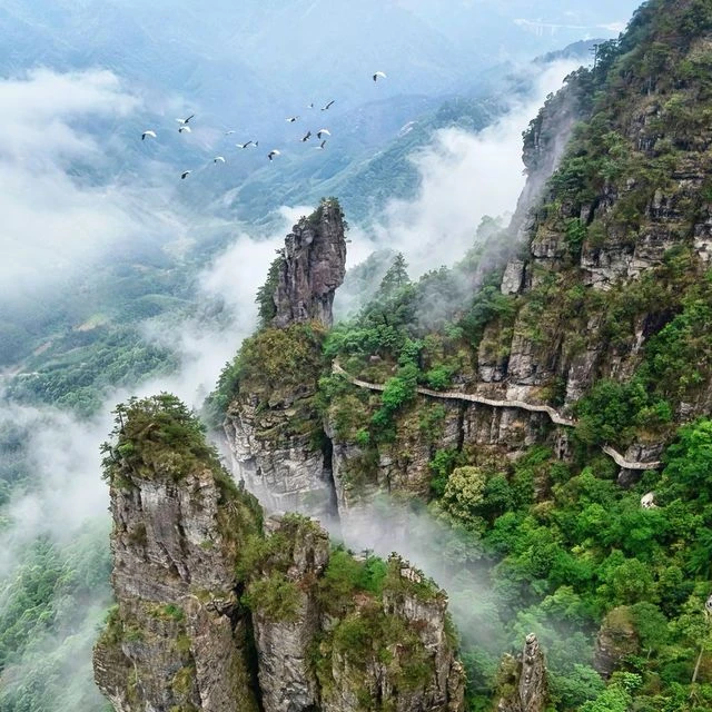 🌄 Чунцин — Чжанцзяцзе: 8 дней, где реальность круче фантастики ✈️