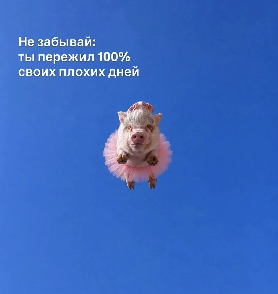 Prosto напоминание 


MAX ПОНАРОШКУ