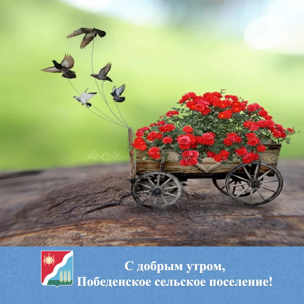 🌟 С добрым утром жители и гости Победенского сельского поселения!