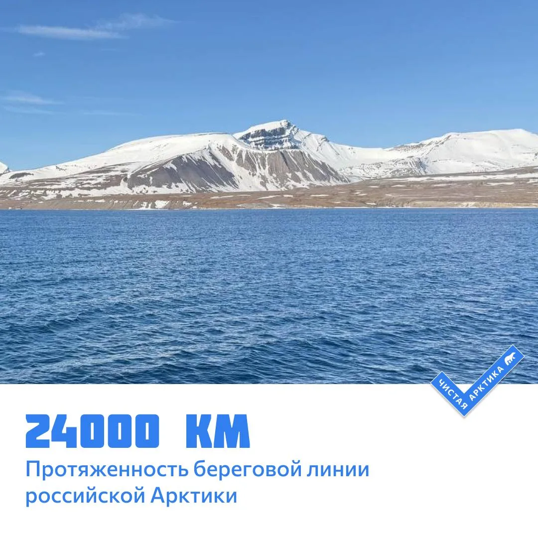 🔢 Арктика в цифрах 

🗺️ Береговая линия российской Арктики имеет протяженность около 24 000 киломе