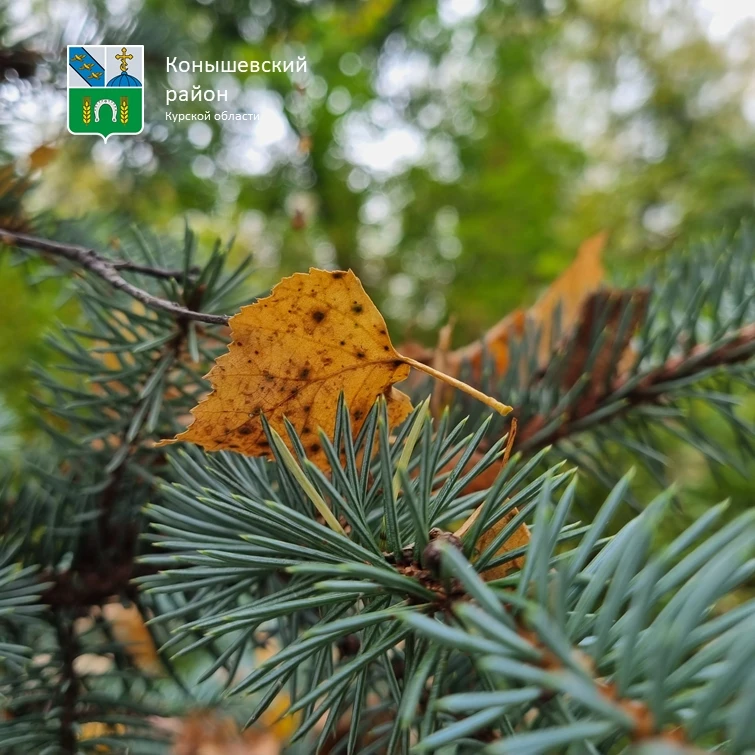 Доброе утро! 🍁