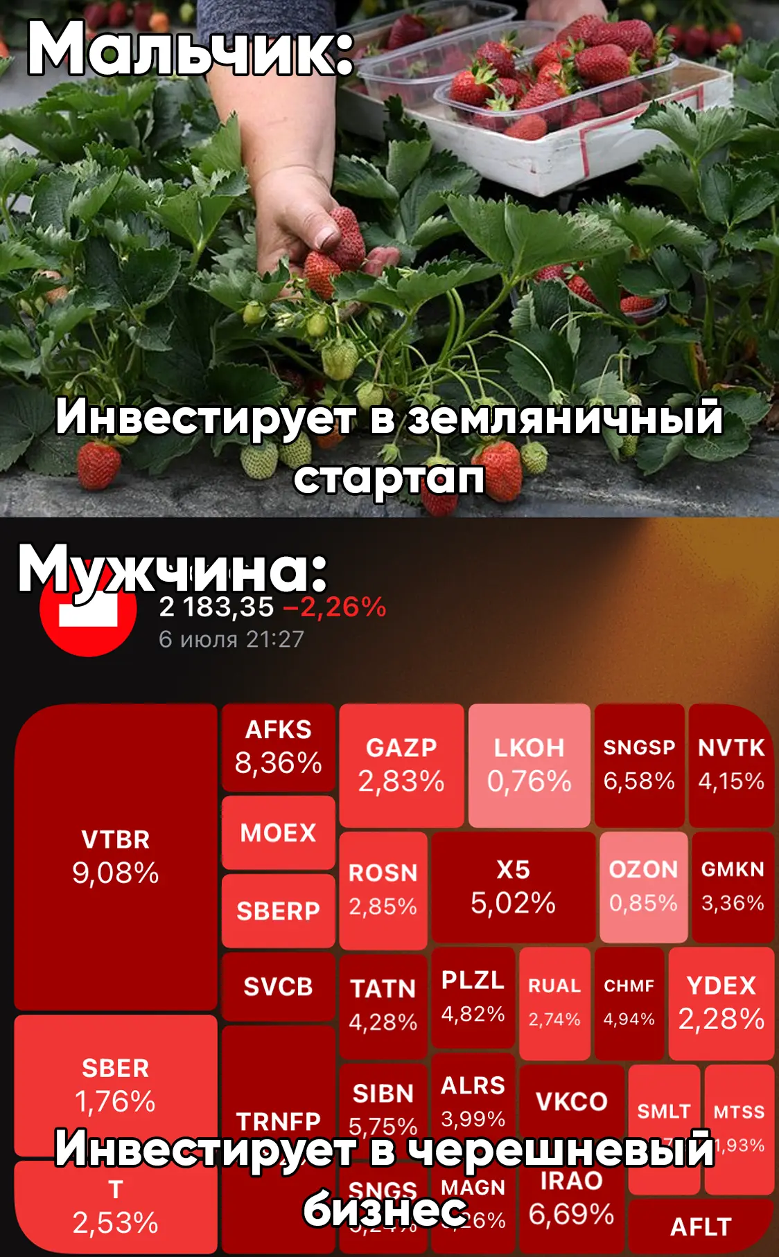 Мужчина потерял почти миллион рублей, вложившись в «земляничный стартап» проститутки.