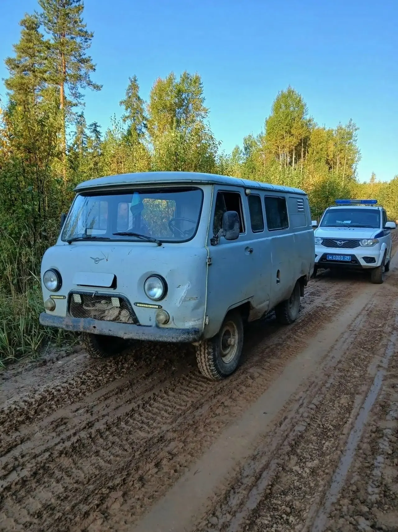 🚔🌲🚙 Лес, «буханка», два ствола