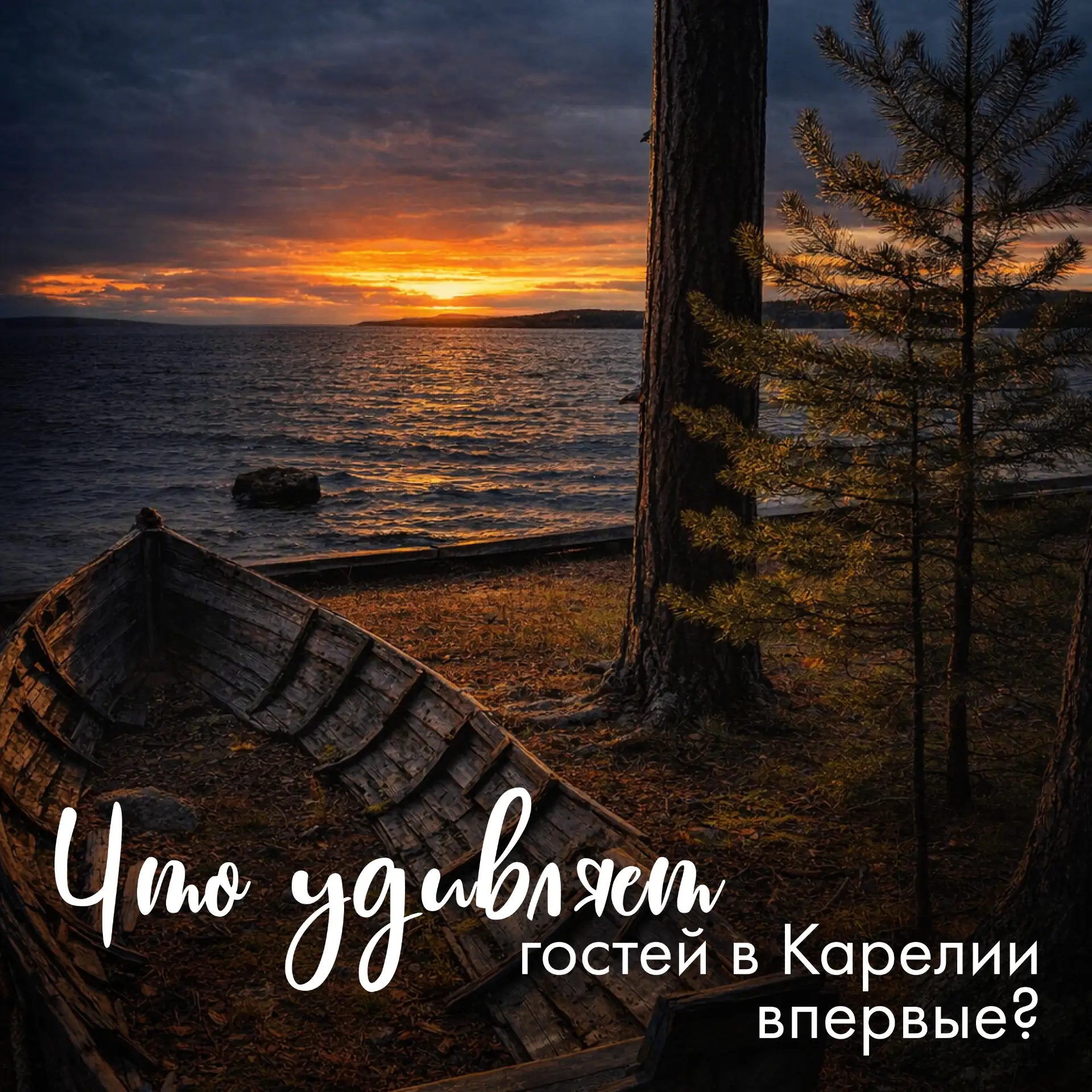 Что удивляет гостей в Карелии впервые? 🌿